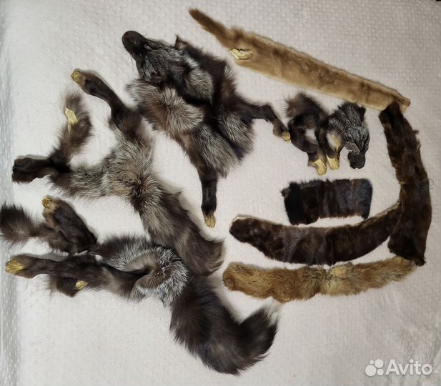Шкурки чернобурки и норки