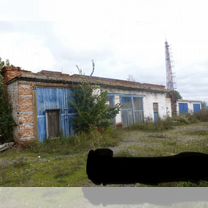 Свободного назначения