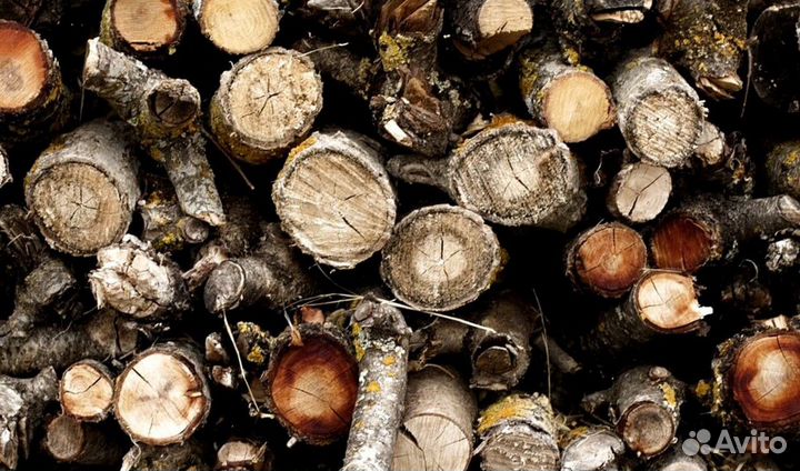 Дрова с пилорамы