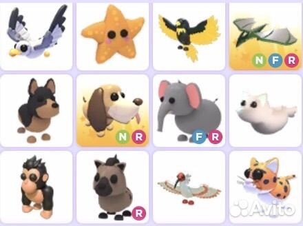 Петы адопт ми