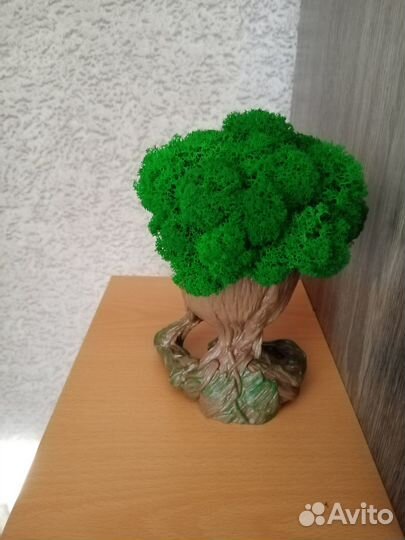 Ручная работы из стабилизированного мха