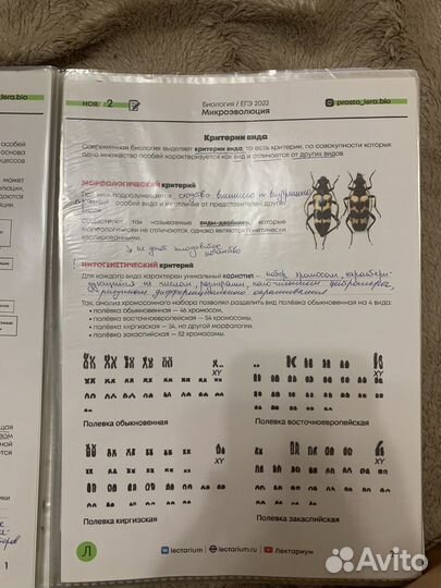 Материалы для подготовки к егэ по биологии