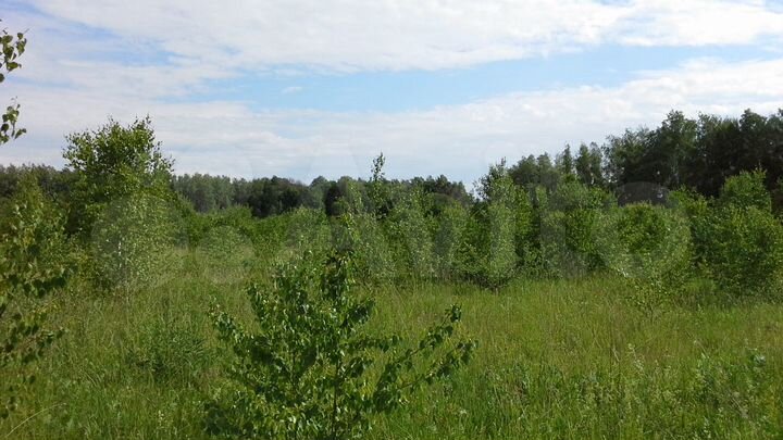 Участок 7 га (СНТ, ДНП)