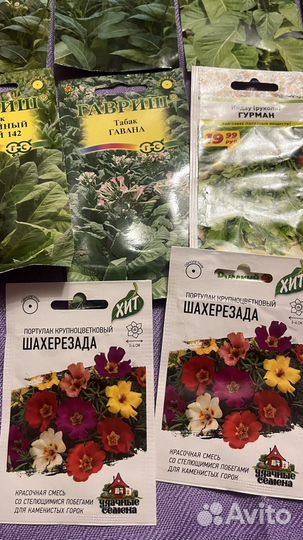 Семена капусты огурцы цветов табак рукола