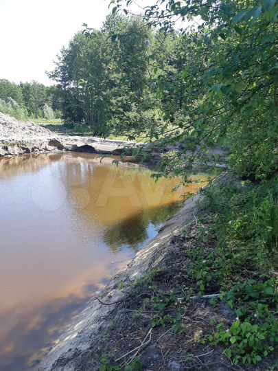 Участок 24 сот. (СНТ, ДНП)