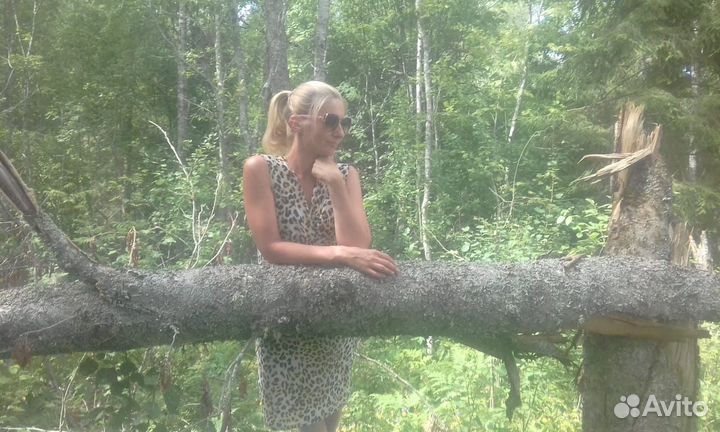 Библиотекарь домашней библиотеки