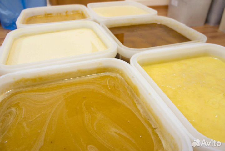 Мед натуральный с Алтая опт