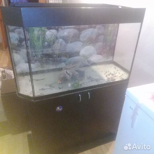 Аквариум с тумбой