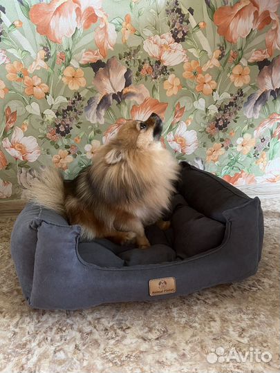 Леженка для собак и кошек