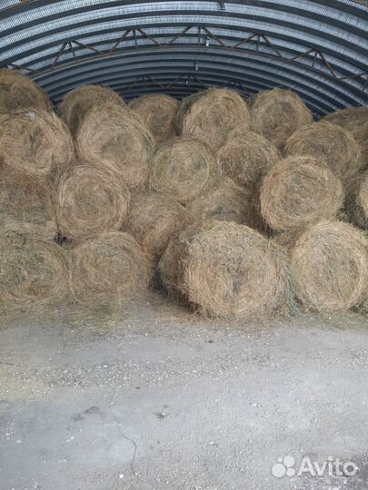 Сено в рулонах