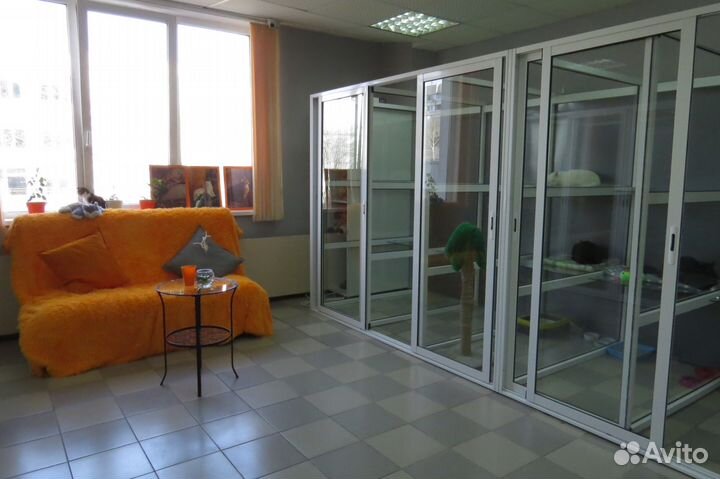 Зоогостиница (передержка) животных