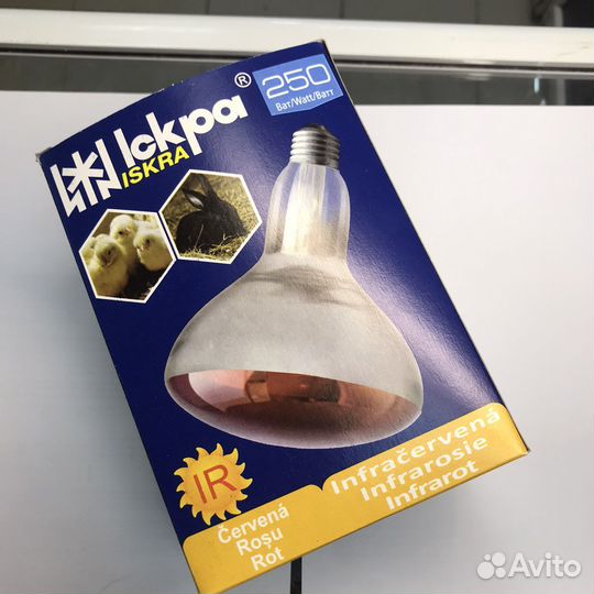 Лампа накаливания