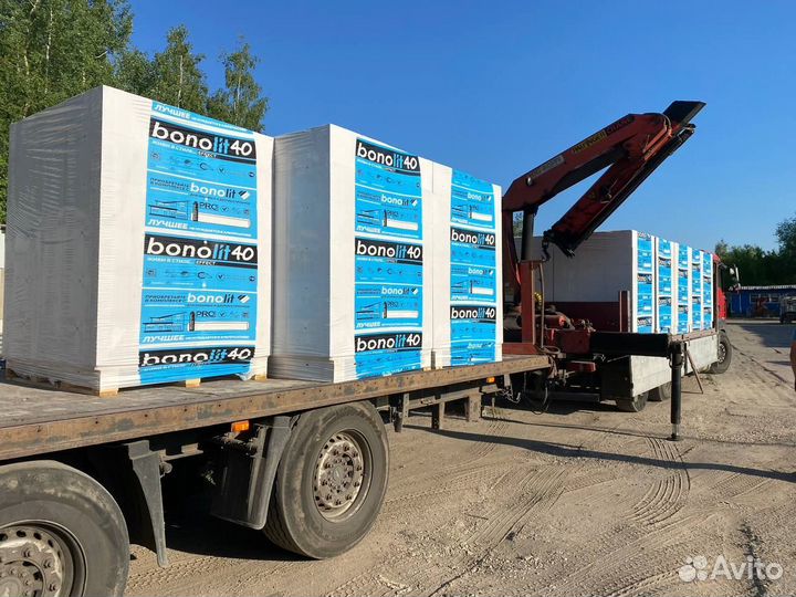 Блоки Бонолит 200