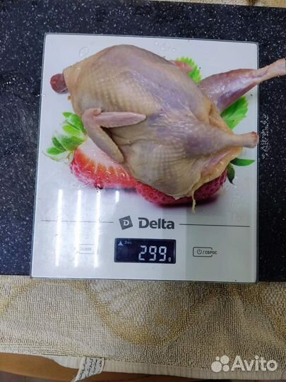 Яйца перепелиные инкубационное