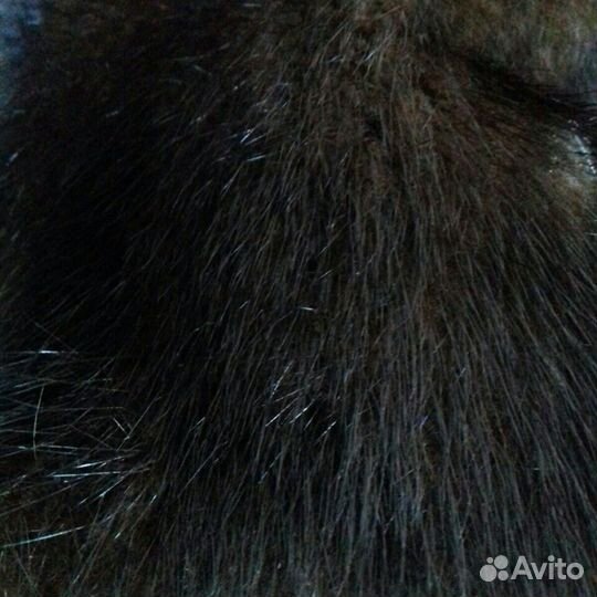 Шуба