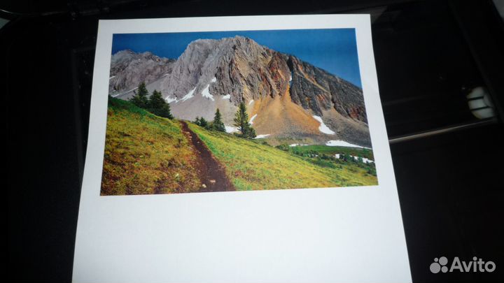 Мфу лазерный цветной Samsung CLX-3175 3 в 1