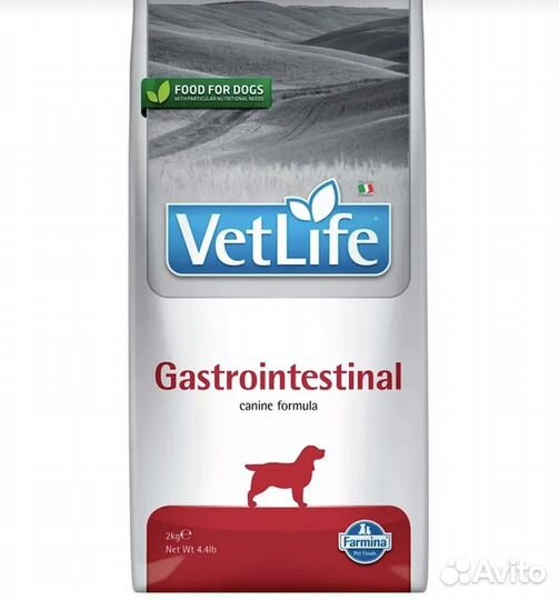 Корм для собак