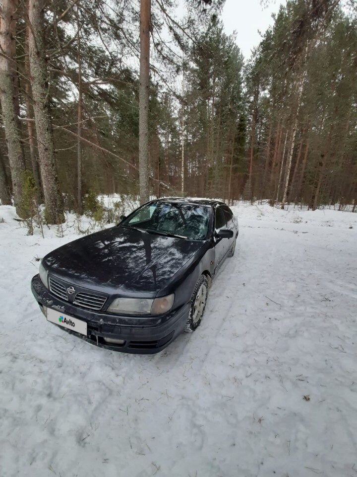 Nissan Maxima: фото владельца