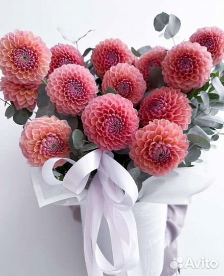 Доставка Розы Букеты Ромашки 101 51 Сочи Адлер