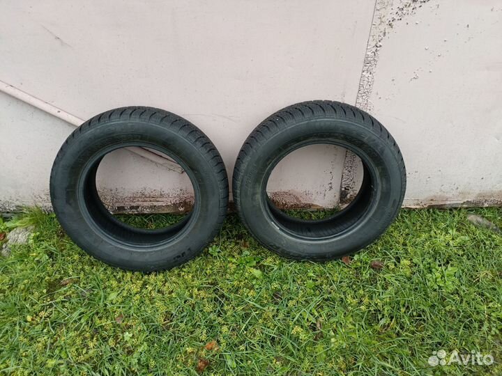 Tigar Winter 175/65 R14 82T