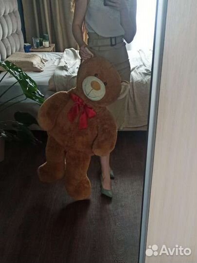 Медведь большой