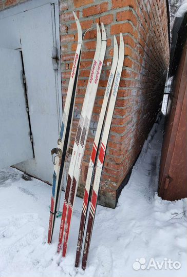 Беговые лыжи