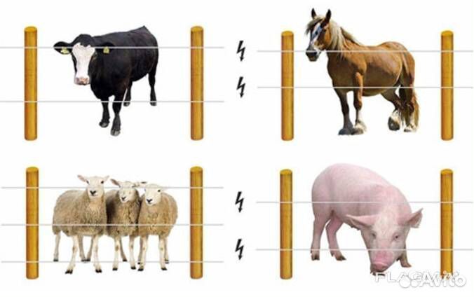 Электропастухи комплект