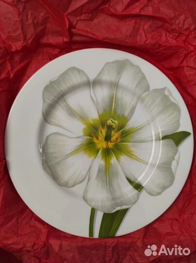 Тарелка Италия блюдо Taitu на подарок 2 шт