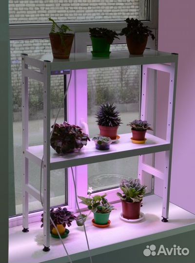 Этажерка для рассады малая с 2 фитолампами