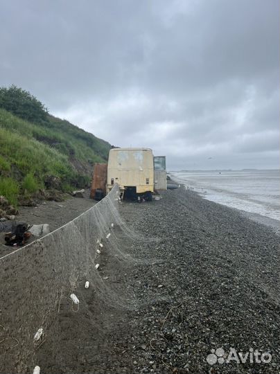 Красная икра Кета, 5минутка. Чукотка, 5-6.08. 23г