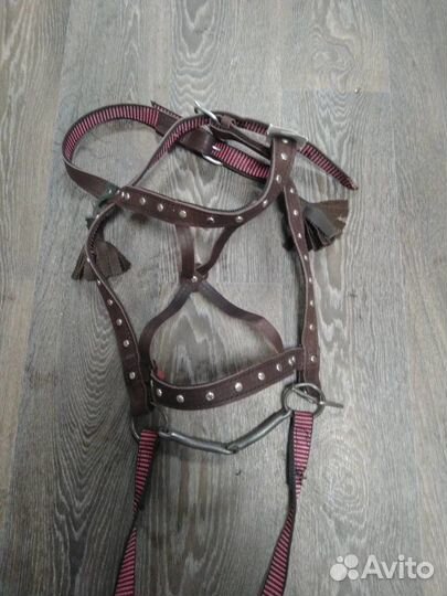Узда для лошади