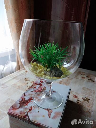 Аквариум бокал 3 литра