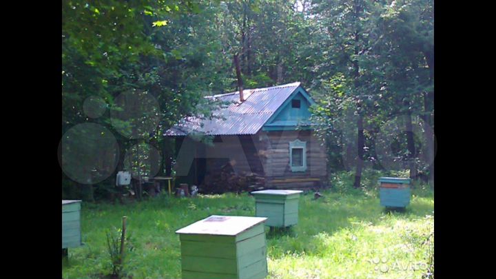 Участок 45 сот. (СНТ, ДНП)