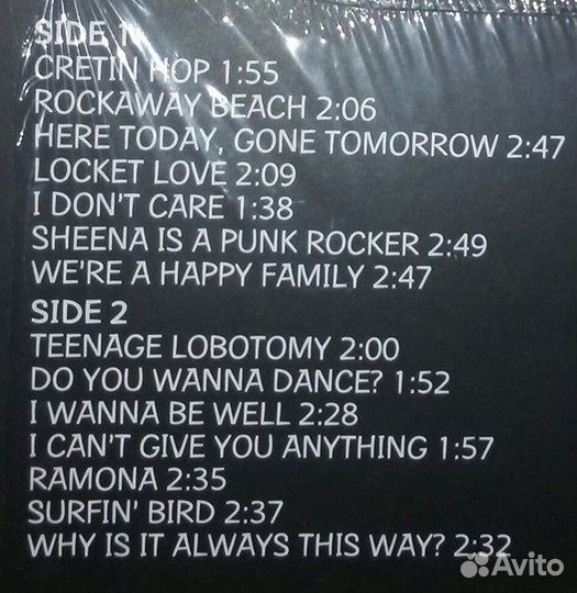 Виниловая пластинка WM Ramones Rocket To Russia (1