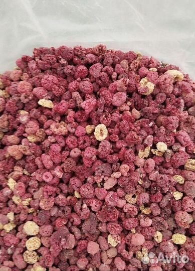 Малина сушеная садовая