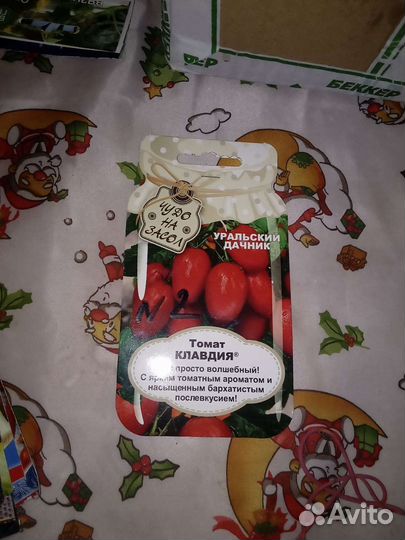 Рассада помидор