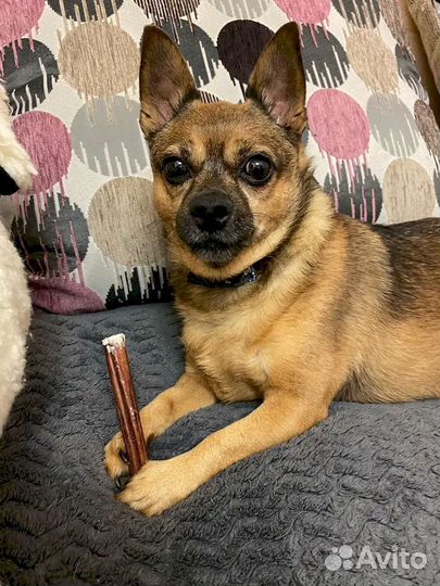 Корм для собаки. Фермерское