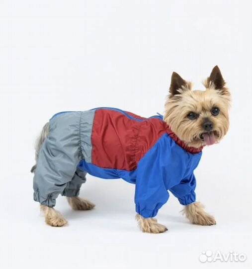 Одежда для собак