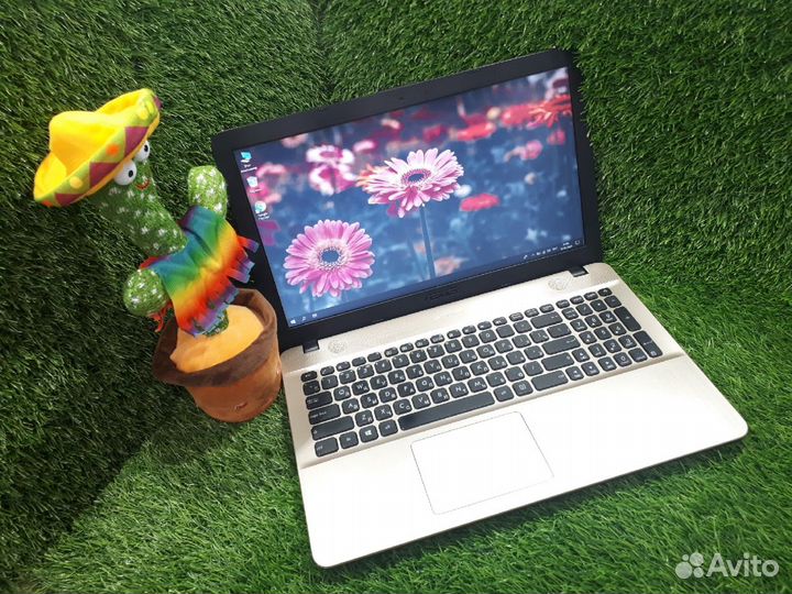 Золотой asus для простых игр+SSD+810M