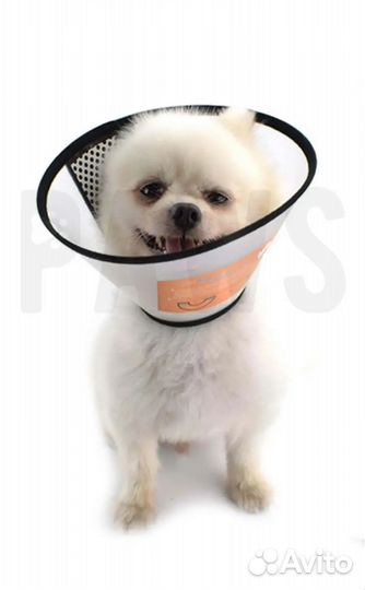 Ветеринарный воротник