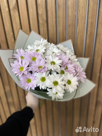 Хризантема букет цветы