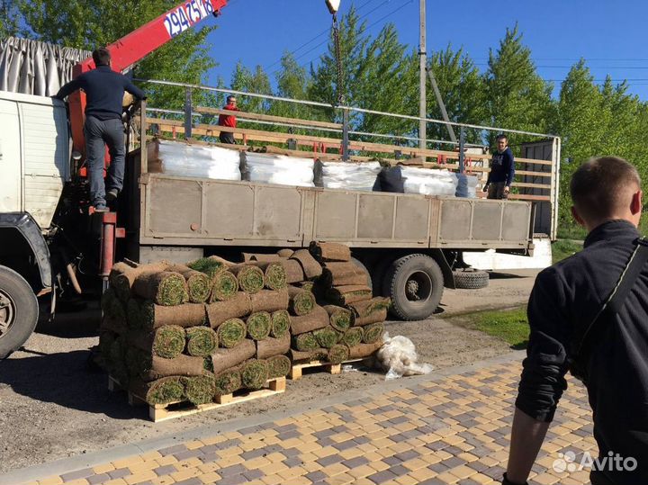 Рулонный газон