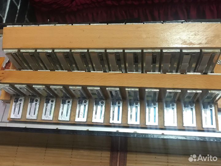 Weltmeister grandina