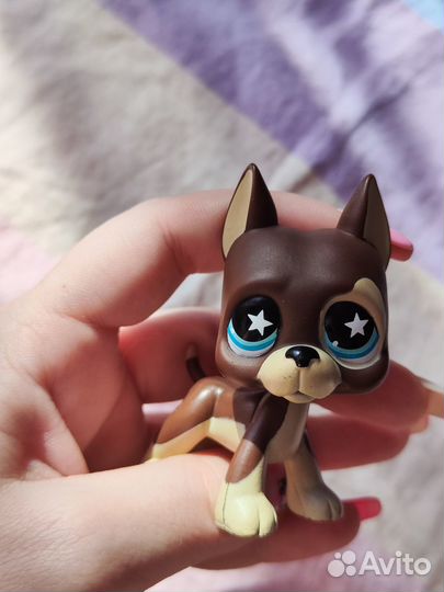 Littlest pet shop