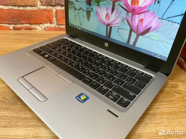 Ноутбук HP EliteBook 725 AMD A8 SSD для работы