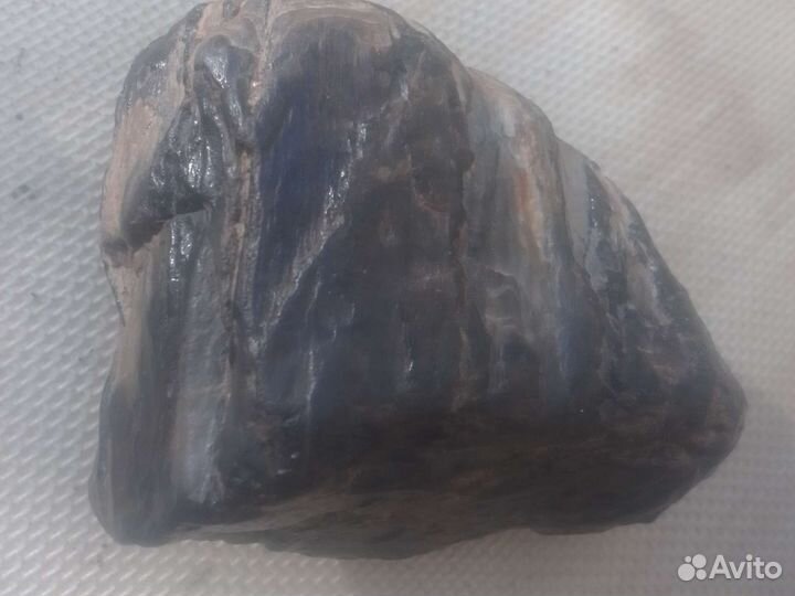 Окаменелое дерево