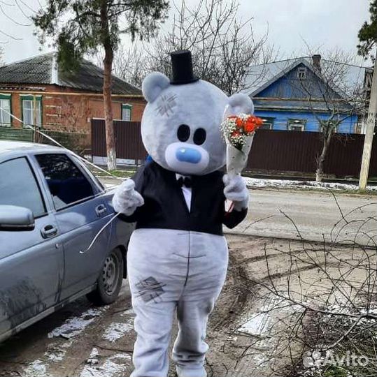 Экспресс поздравление мишки Тедди