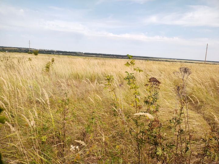 Участок 23 сот. (ИЖС)