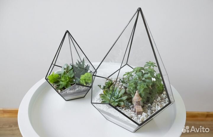 Флорариум капля