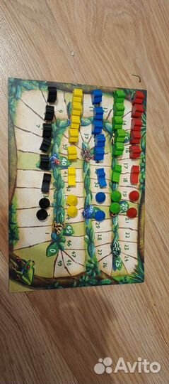 Каркассон амазонка